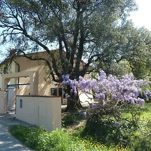  Casa di campagna Al Vecchio Leccio